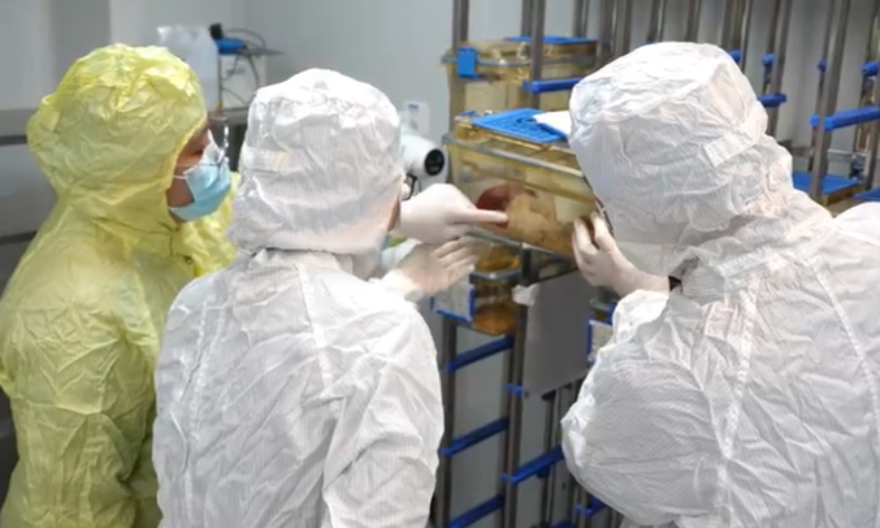 宇宙マウスの出産、これが未来のヒント？