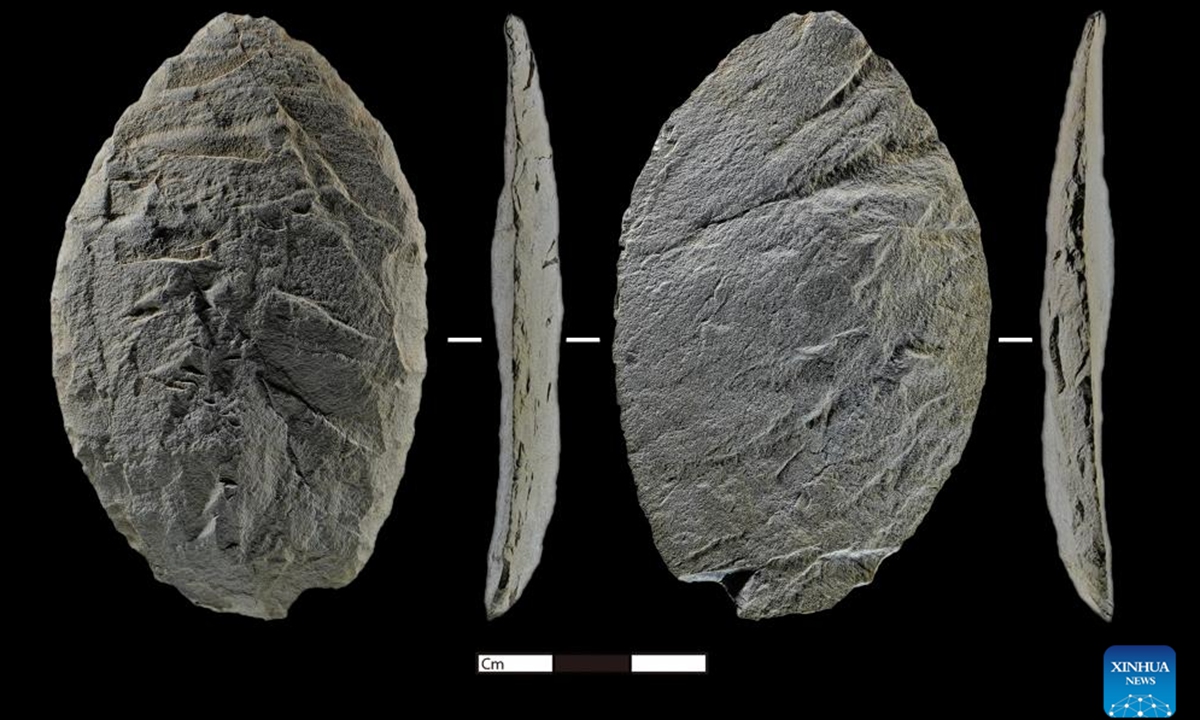 青海チベット高原で発見！古代人の驚きの足跡